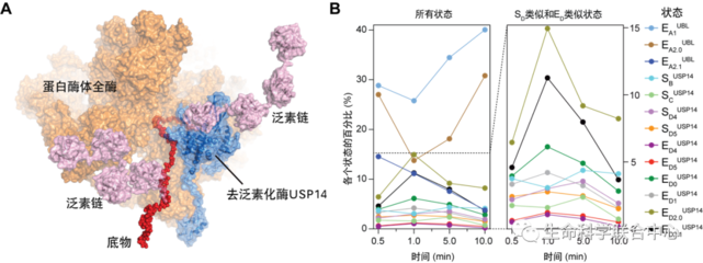 人工智能賦能時(shí)間分辨冷凍電鏡 北京大學(xué)Nature刊文揭示重大藥物靶點(diǎn)動(dòng)力學(xué)調(diào)控機(jī)制