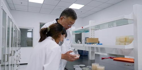 松江企業(yè)憑借創(chuàng)新微生物農(nóng)藥研發(fā)榮獲發(fā)明金獎(jiǎng)